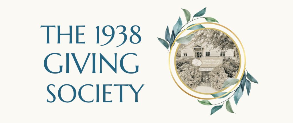 1938 giving society graphic. pic of shelter in black and white.