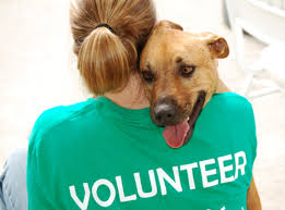 Loving and caring for up to 50 animals takes a lot of hands, and a lot of hearts. Loving and caring for up to 50 animals takes a lot of hands, and a lot of hearts.