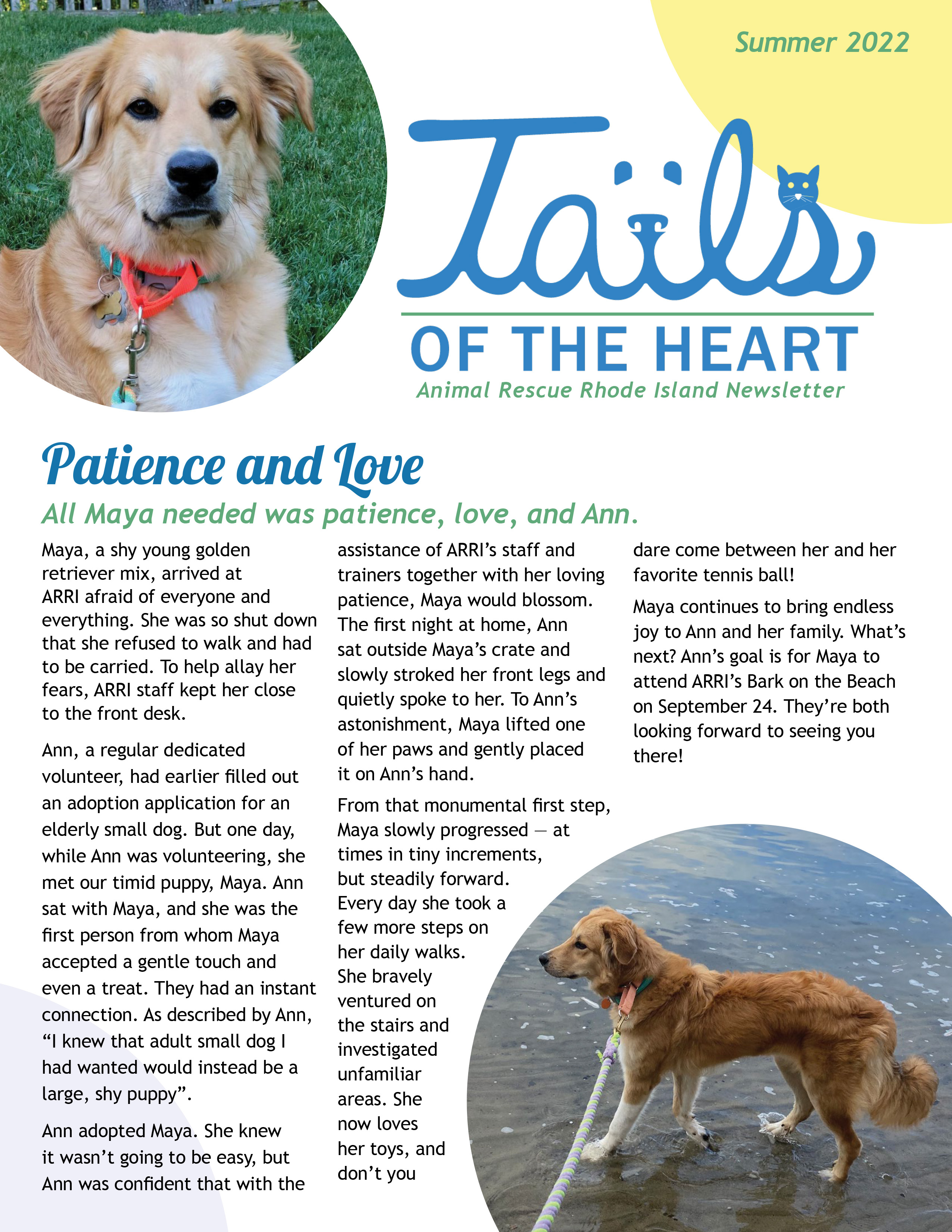 Heart to heart sales small dog rescue