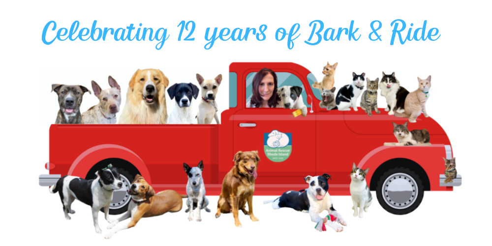 Bark & Ride Bark & Ride