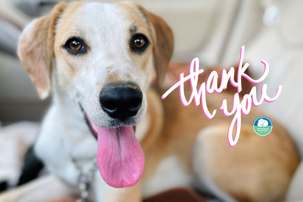 Every Donation – No Matter How Large or Small – Helps Us Save Lives.