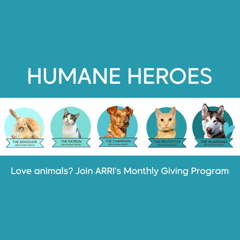 Humane Heroes levels.