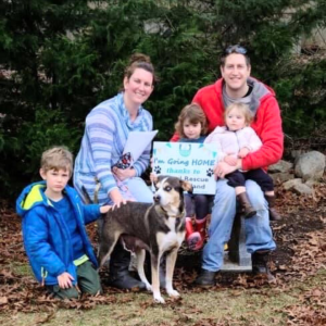 Family of 5 with three young kids sitting outside with their newly adopted brown and white dog.