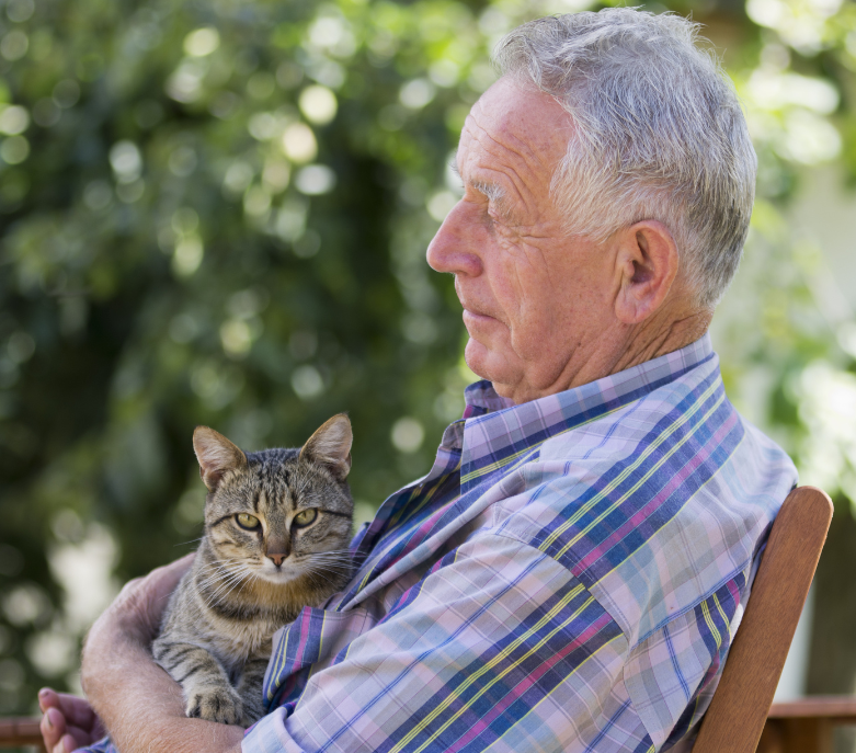 Elderly man sitting outside on a rocking chair holding a grey tabby cat who is looking lovingly at the camera. 
