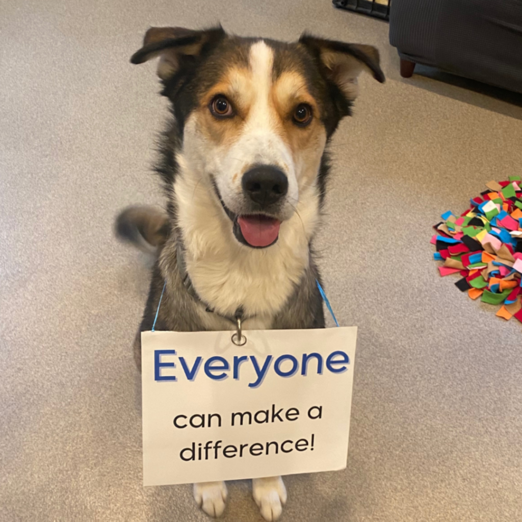 Shepard breed, black tan and white dog with a sign around his neck that reads "Everyone can make a difference!"