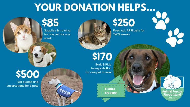 donation impact graphic