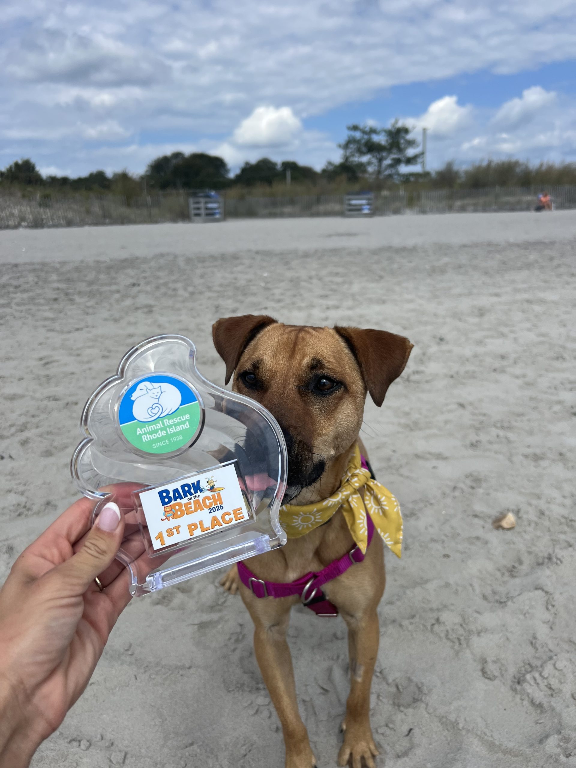 1st place winner with dogi