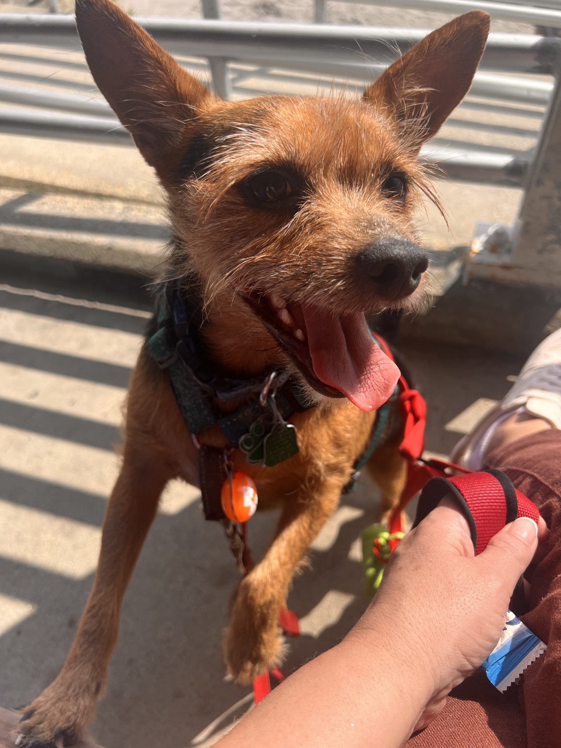 Im all ears and happy to be at BOTB