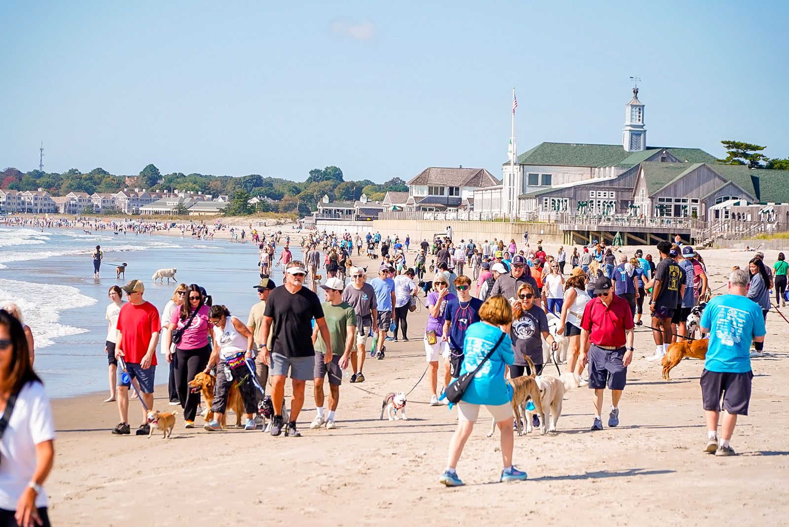 looking at all the walkers