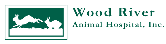 Wood River logo png